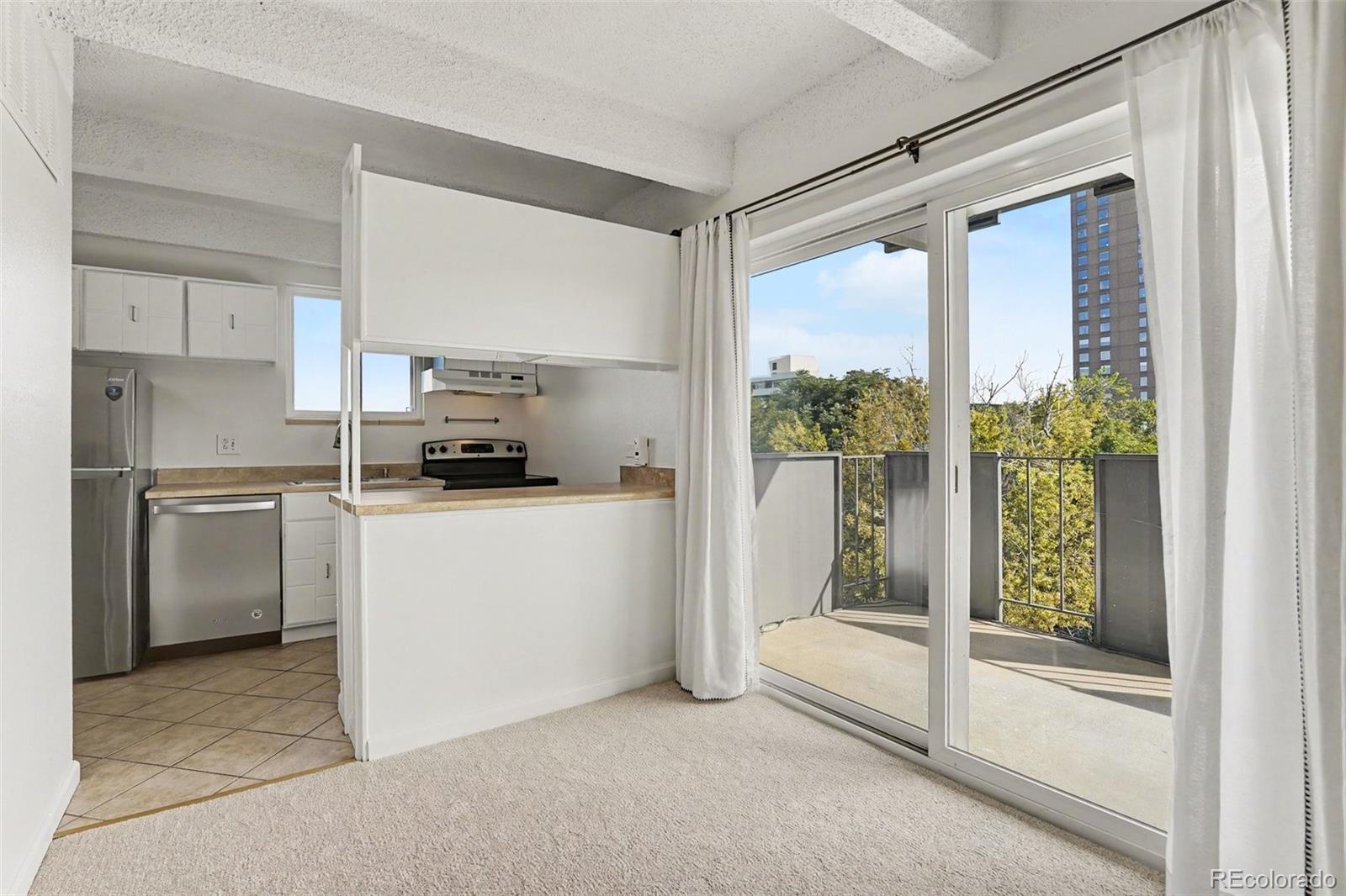 MLS Image #8 for 1265  race street,denver, Colorado