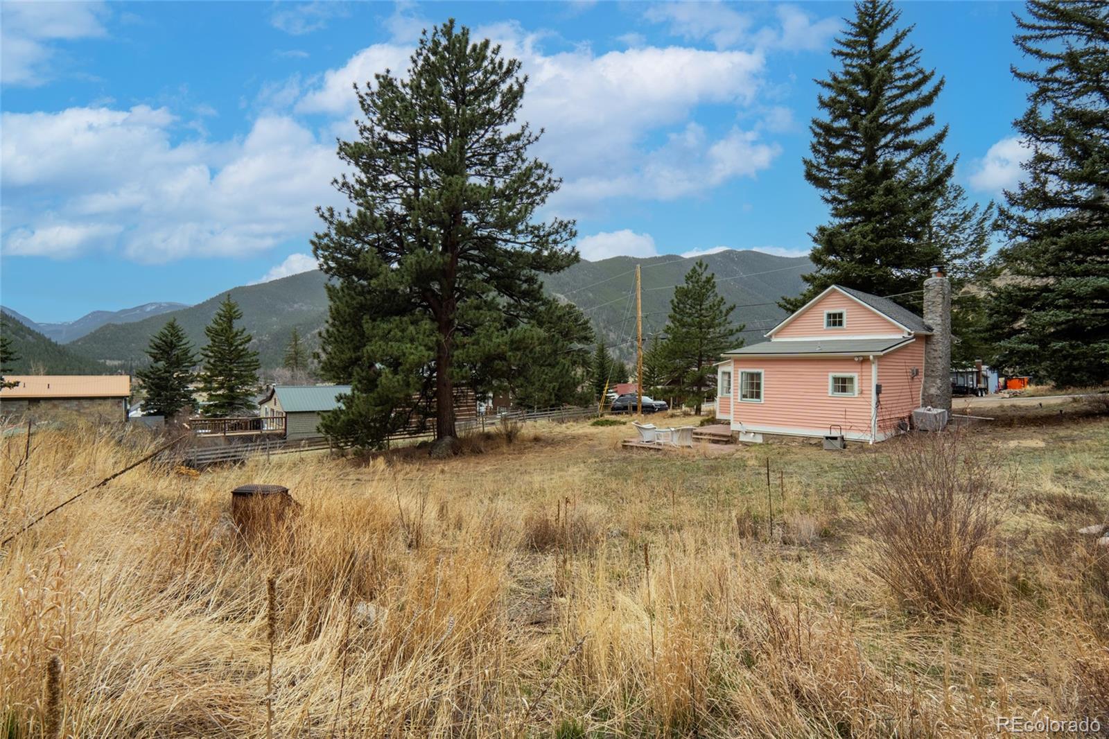 MLS Image #4 for 254 n main street,empire, Colorado