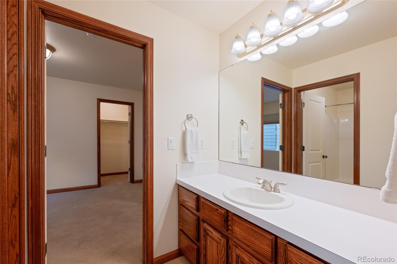 MLS Image #19 for 4542  obrien drive,loveland, Colorado