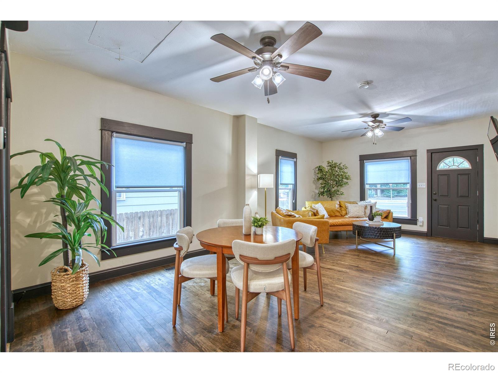 MLS Image #13 for 524 e 1st street,loveland, Colorado