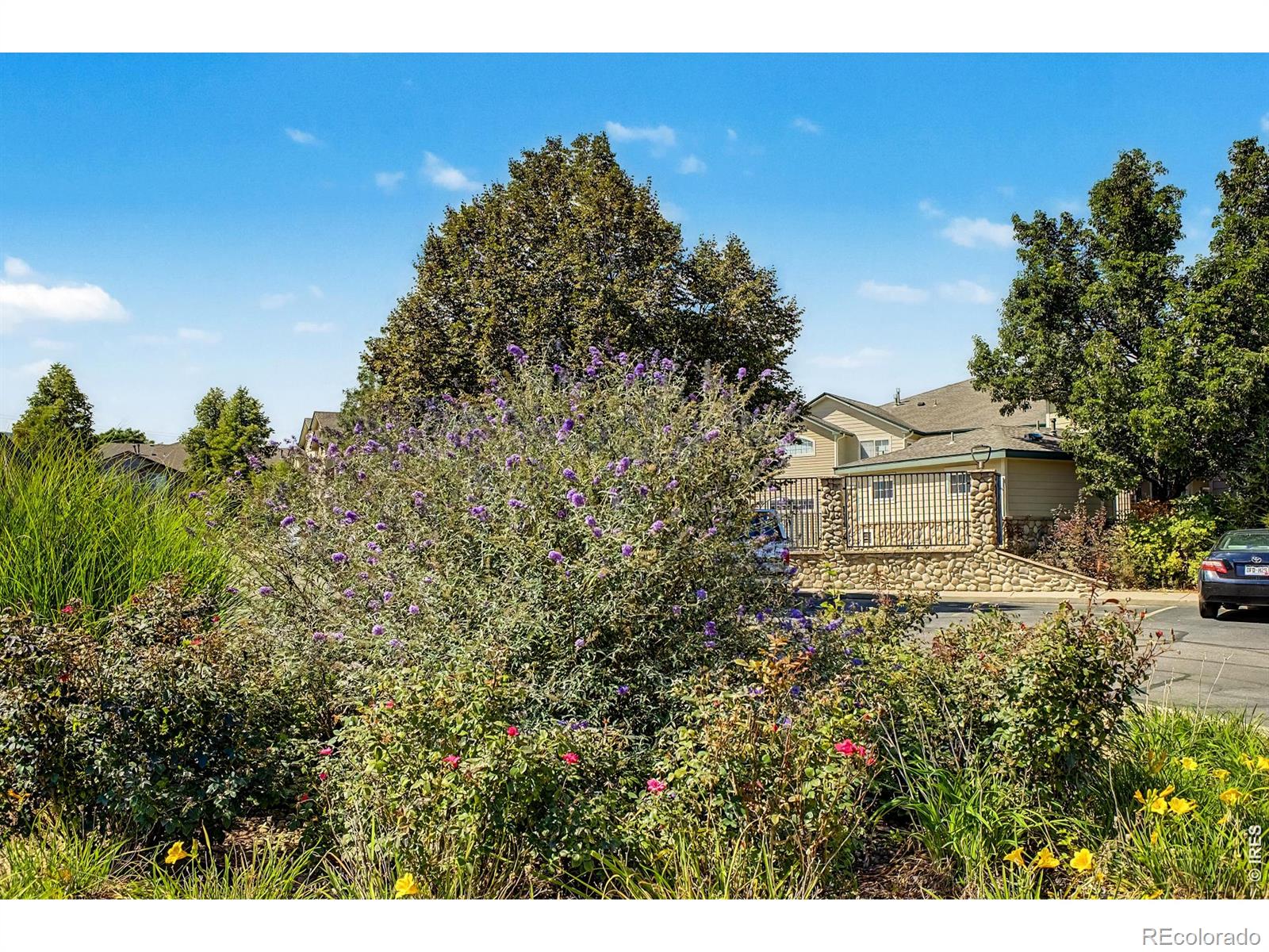 MLS Image #42 for 3002 w elizabeth street,fort collins, Colorado