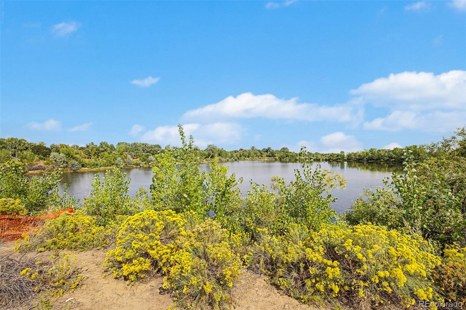 MLS Image #42 for 1307  ellen place,loveland, Colorado