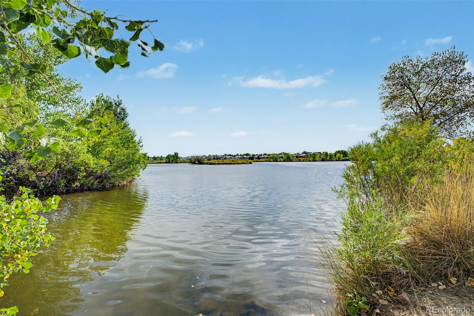 MLS Image #43 for 1307  ellen place,loveland, Colorado
