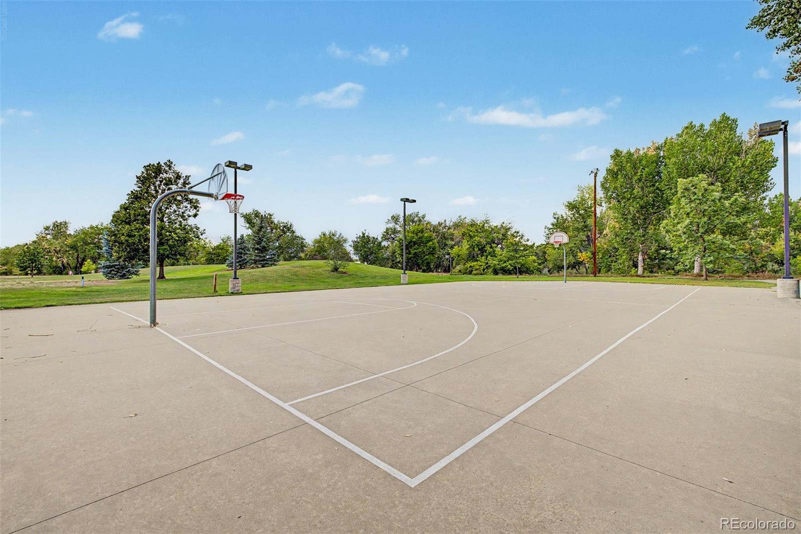 MLS Image #49 for 1307  ellen place,loveland, Colorado