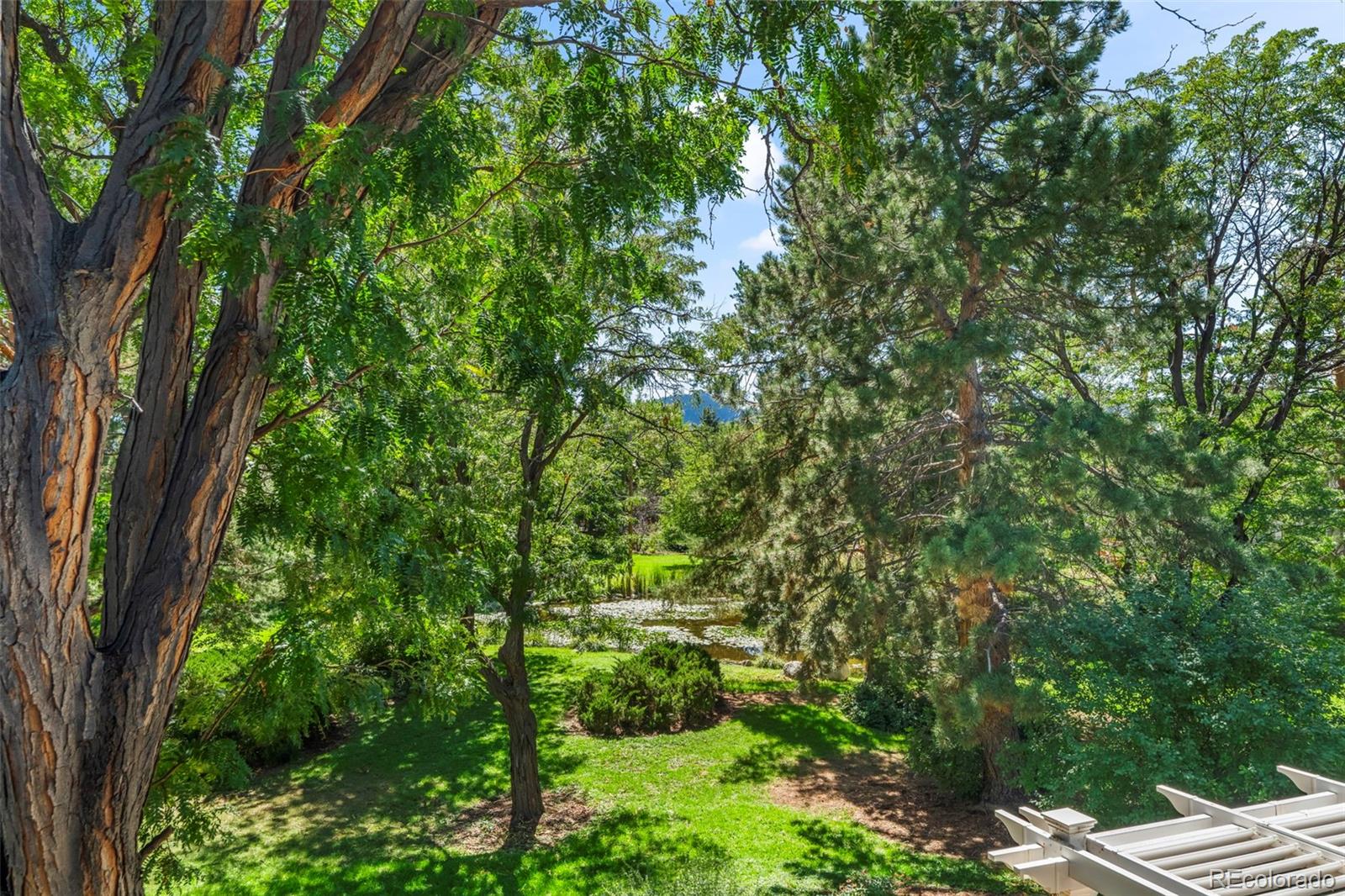 MLS Image #20 for 3164  29th street,boulder, Colorado