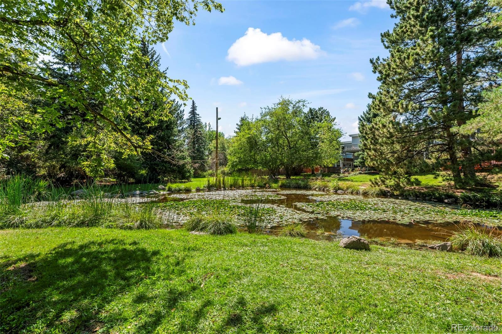 MLS Image #32 for 3164  29th street,boulder, Colorado