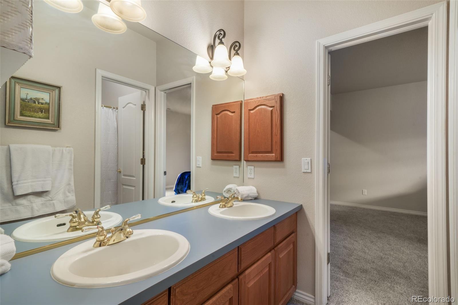 MLS Image #44 for 5515  wittenberg court,colorado springs, Colorado