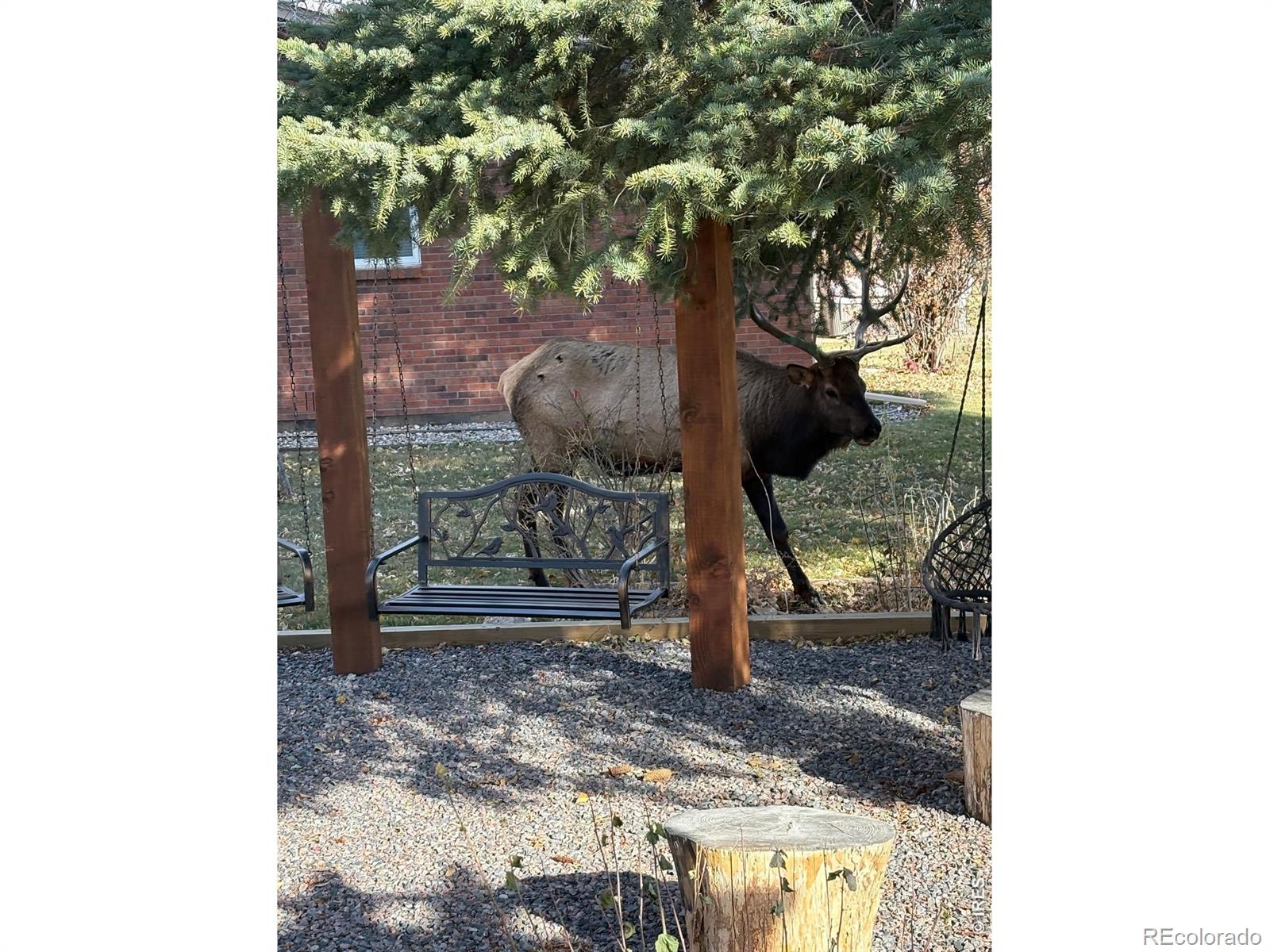 MLS Image #15 for 2300  glade road,loveland, Colorado