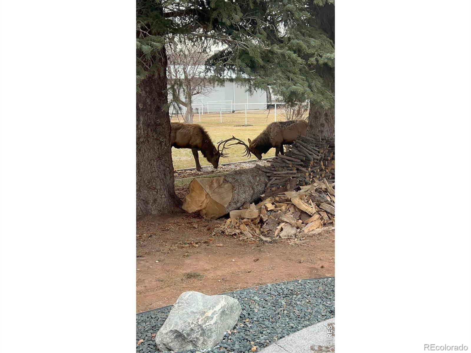 MLS Image #26 for 2300  glade road,loveland, Colorado