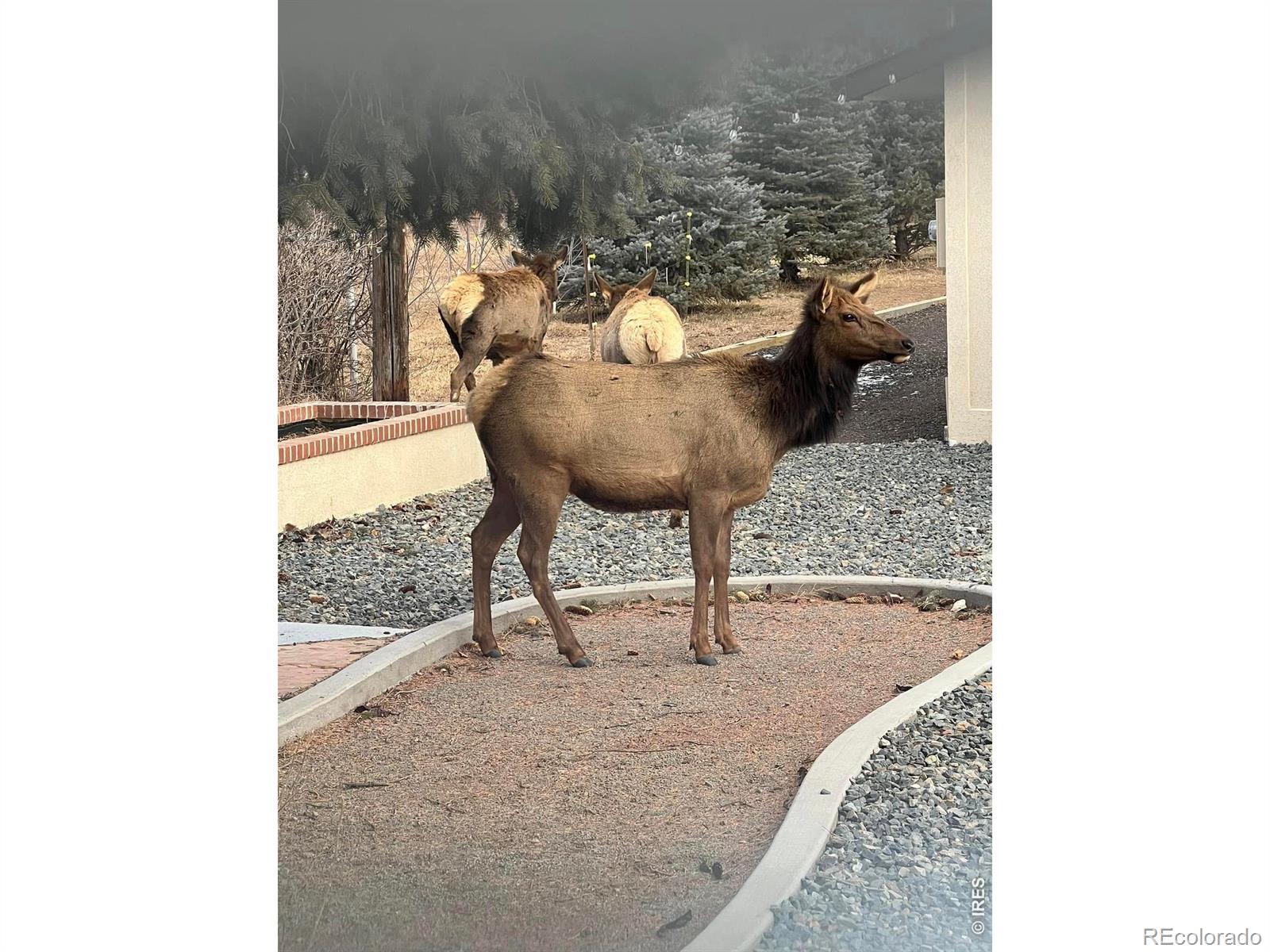 MLS Image #28 for 2300  glade road,loveland, Colorado