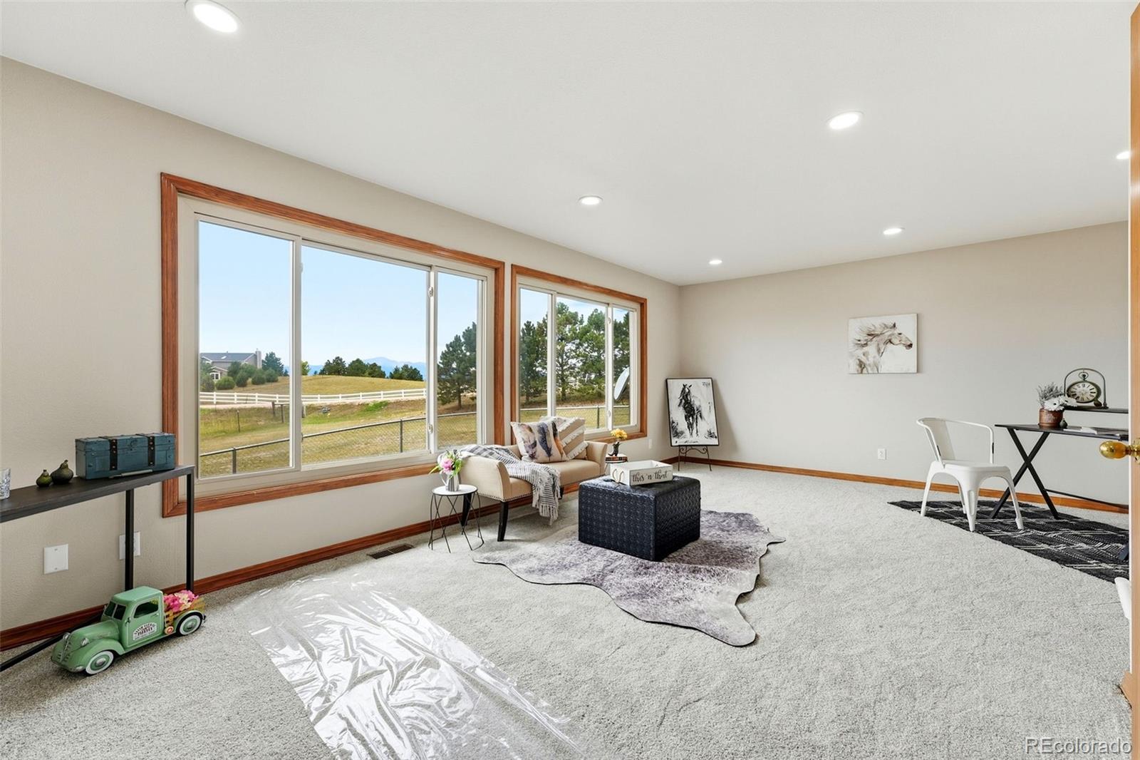 MLS Image #14 for 9655  arroya lane,colorado springs, Colorado