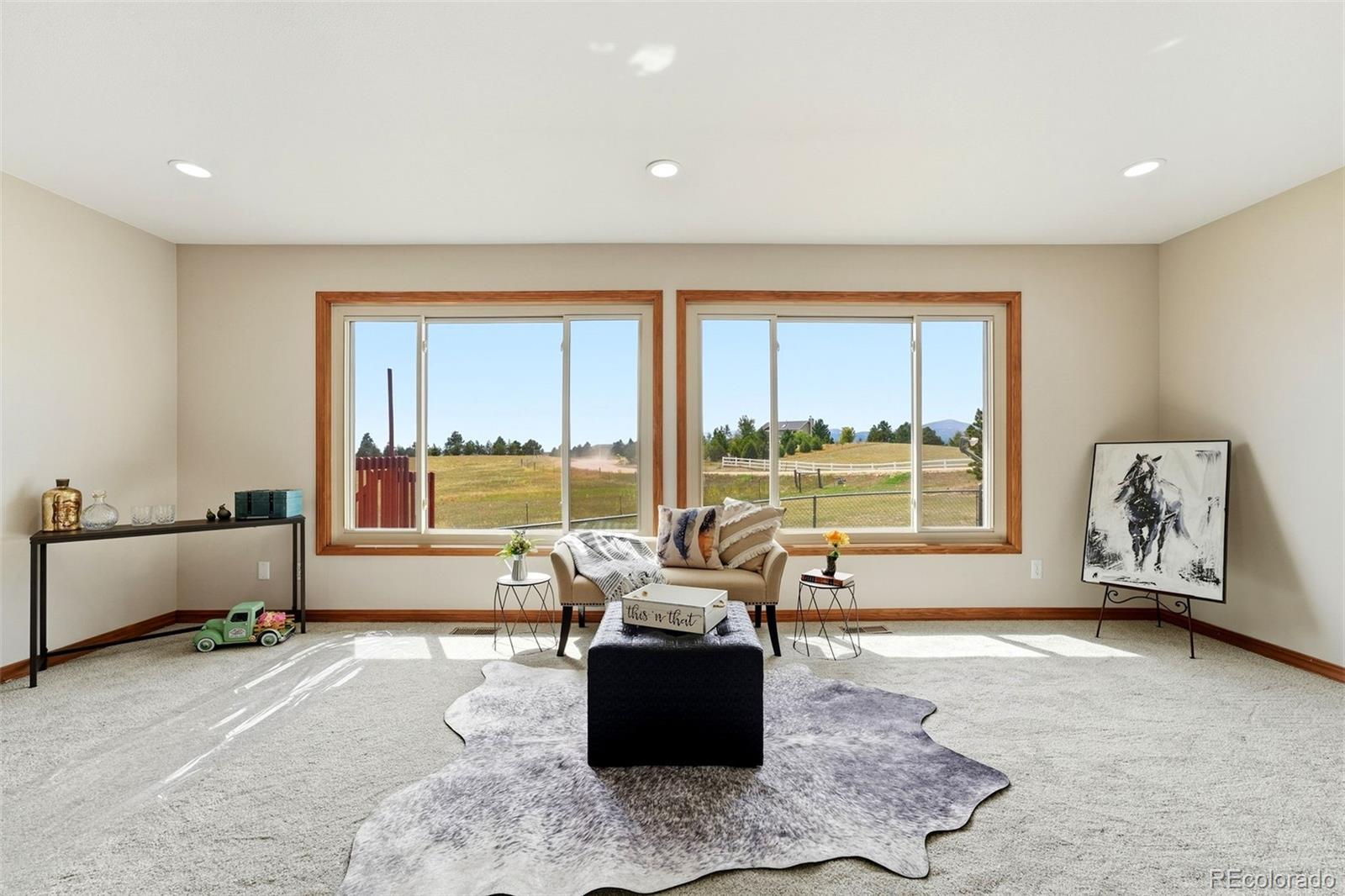 MLS Image #15 for 9655  arroya lane,colorado springs, Colorado