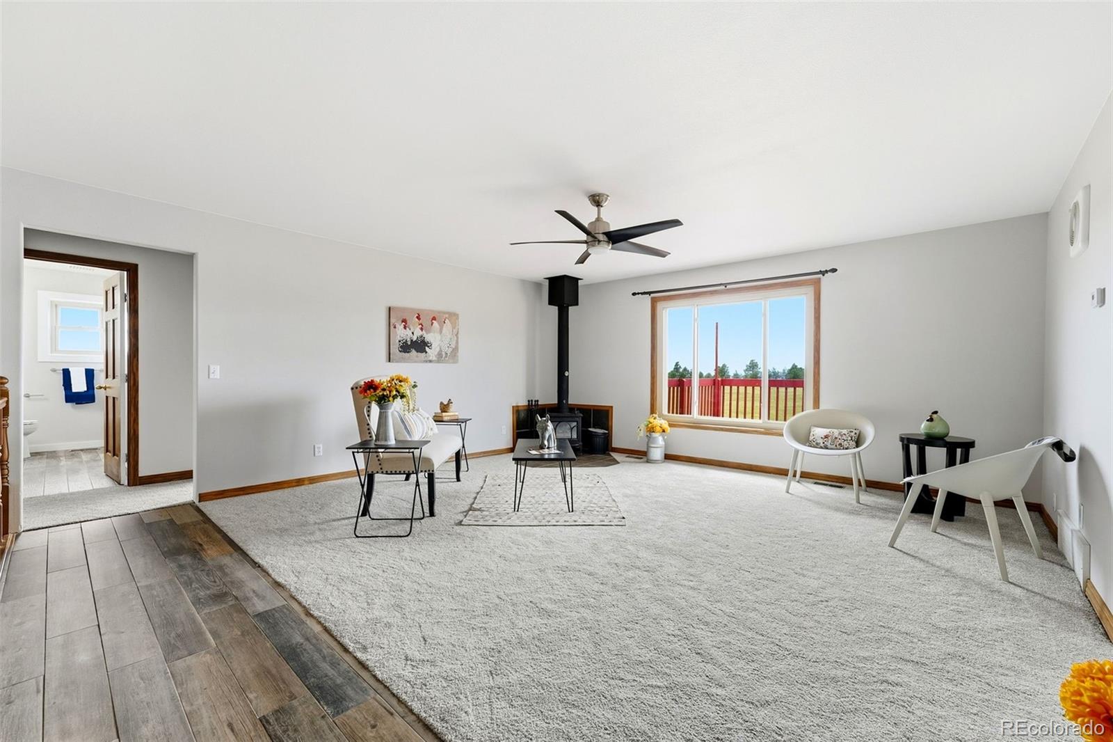 MLS Image #5 for 9655  arroya lane,colorado springs, Colorado