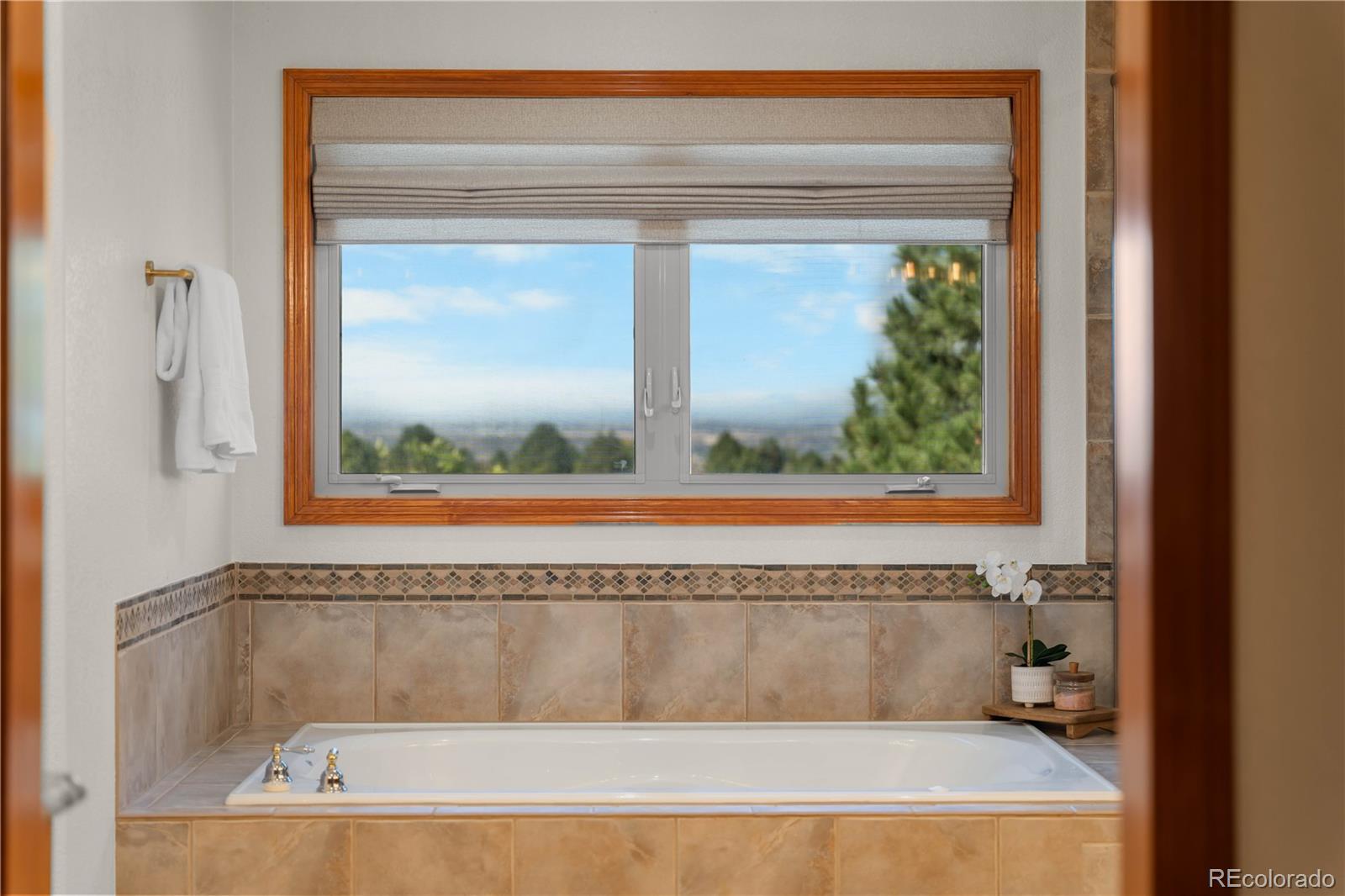 MLS Image #26 for 5129  shade tree lane,parker, Colorado