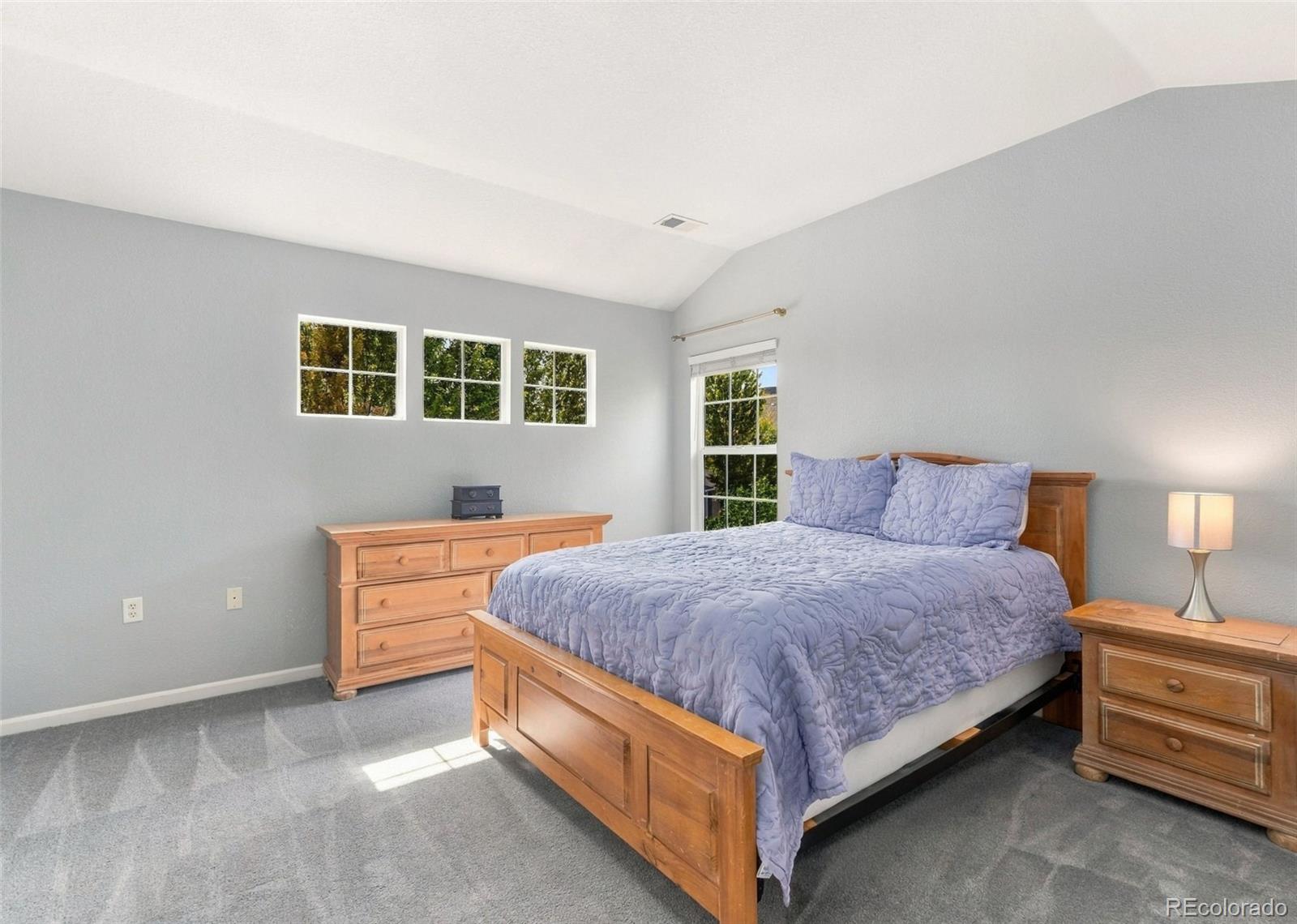MLS Image #17 for 1494  nemrick place,castle rock, Colorado