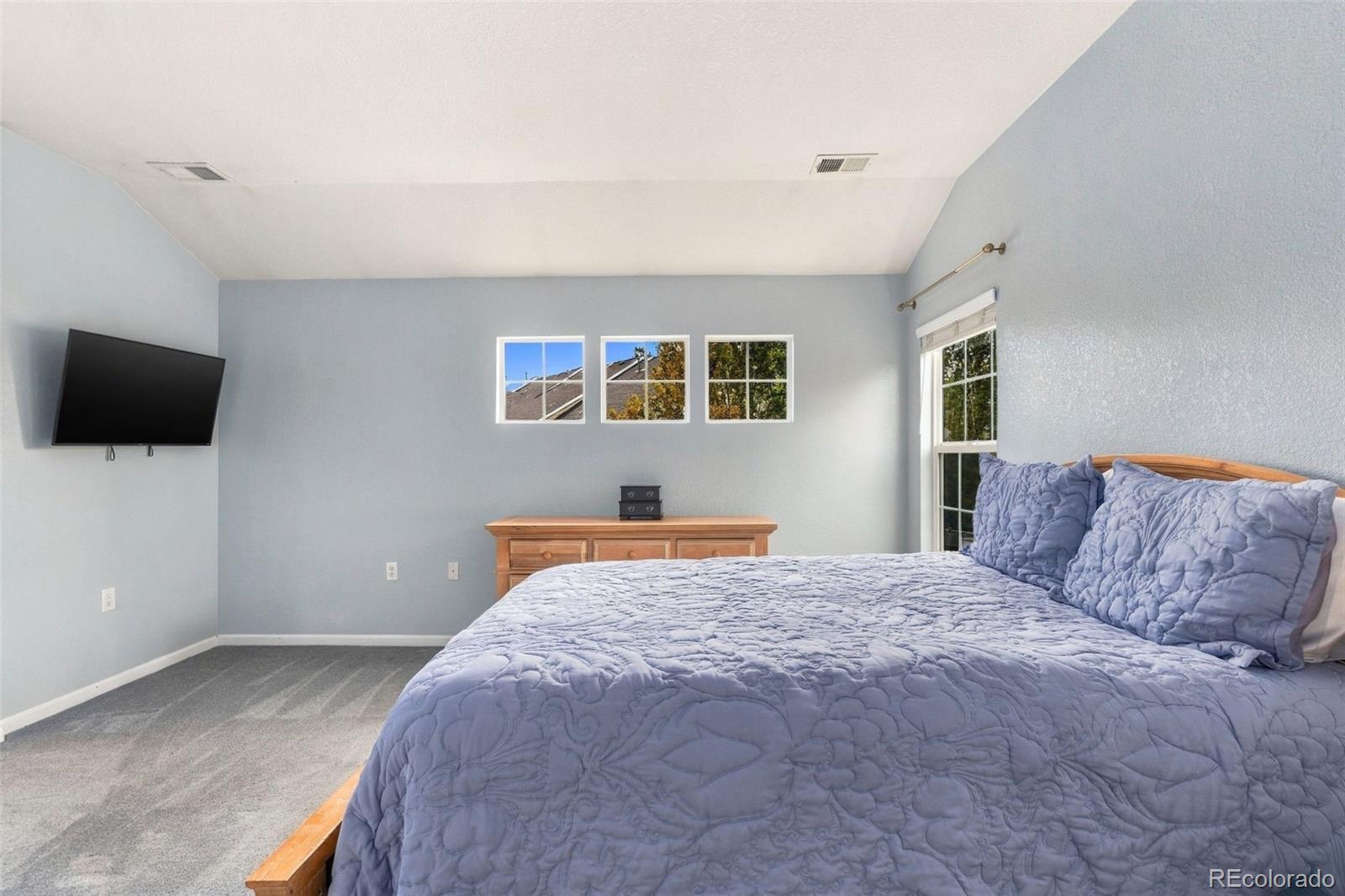 MLS Image #20 for 1494  nemrick place,castle rock, Colorado