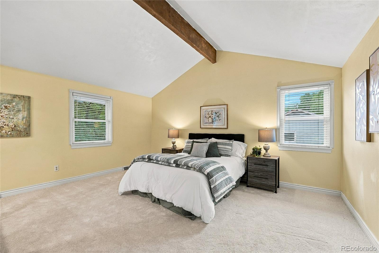 MLS Image #19 for 7153 s saint paul street,centennial, Colorado