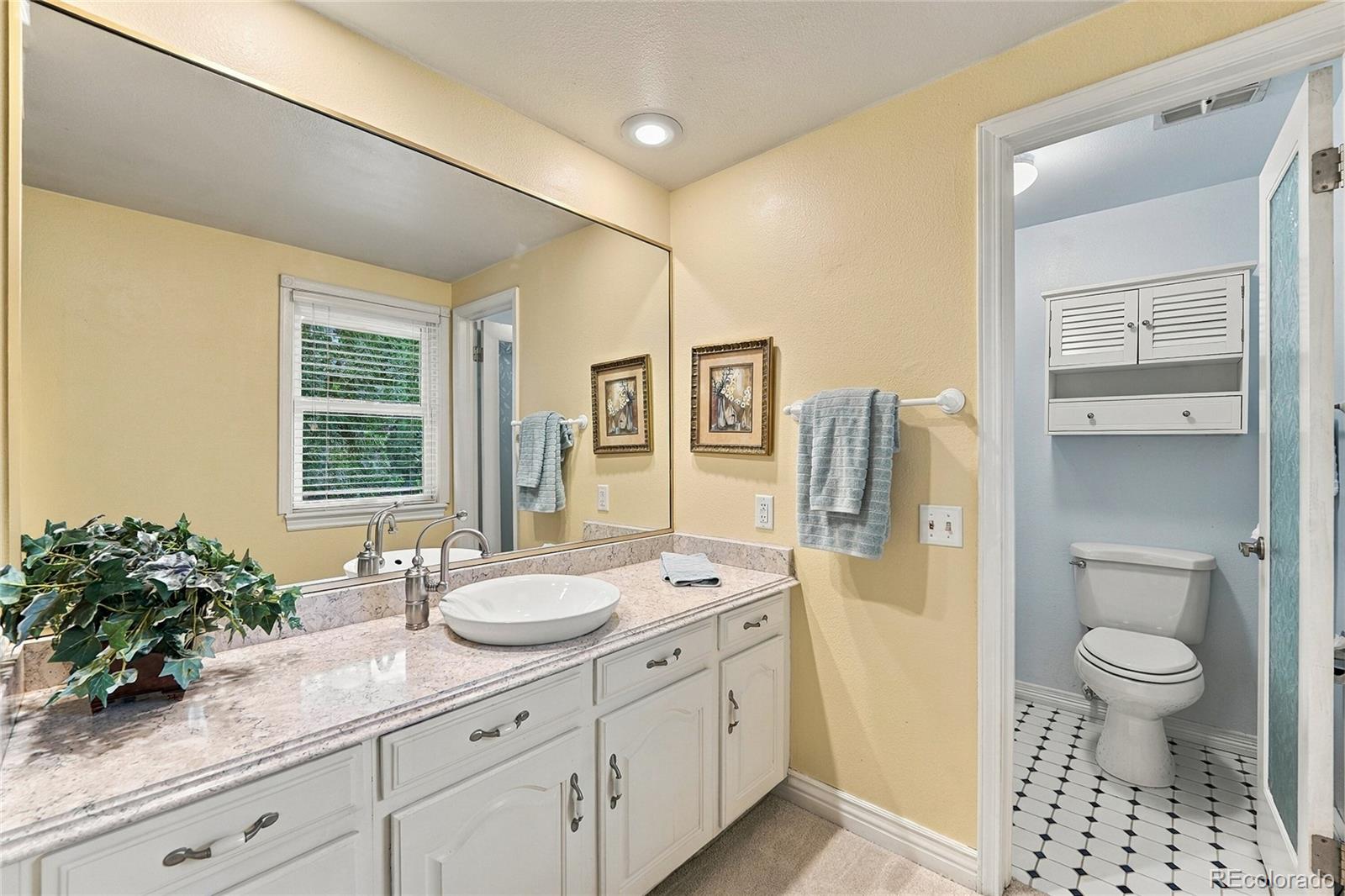 MLS Image #21 for 7153 s saint paul street,centennial, Colorado