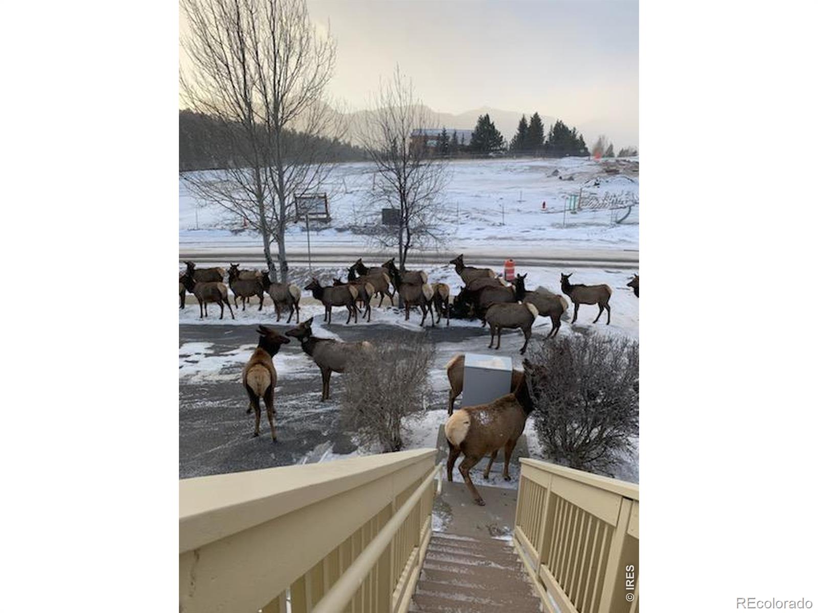 MLS Image #38 for 1761  wildfire road,estes park, Colorado