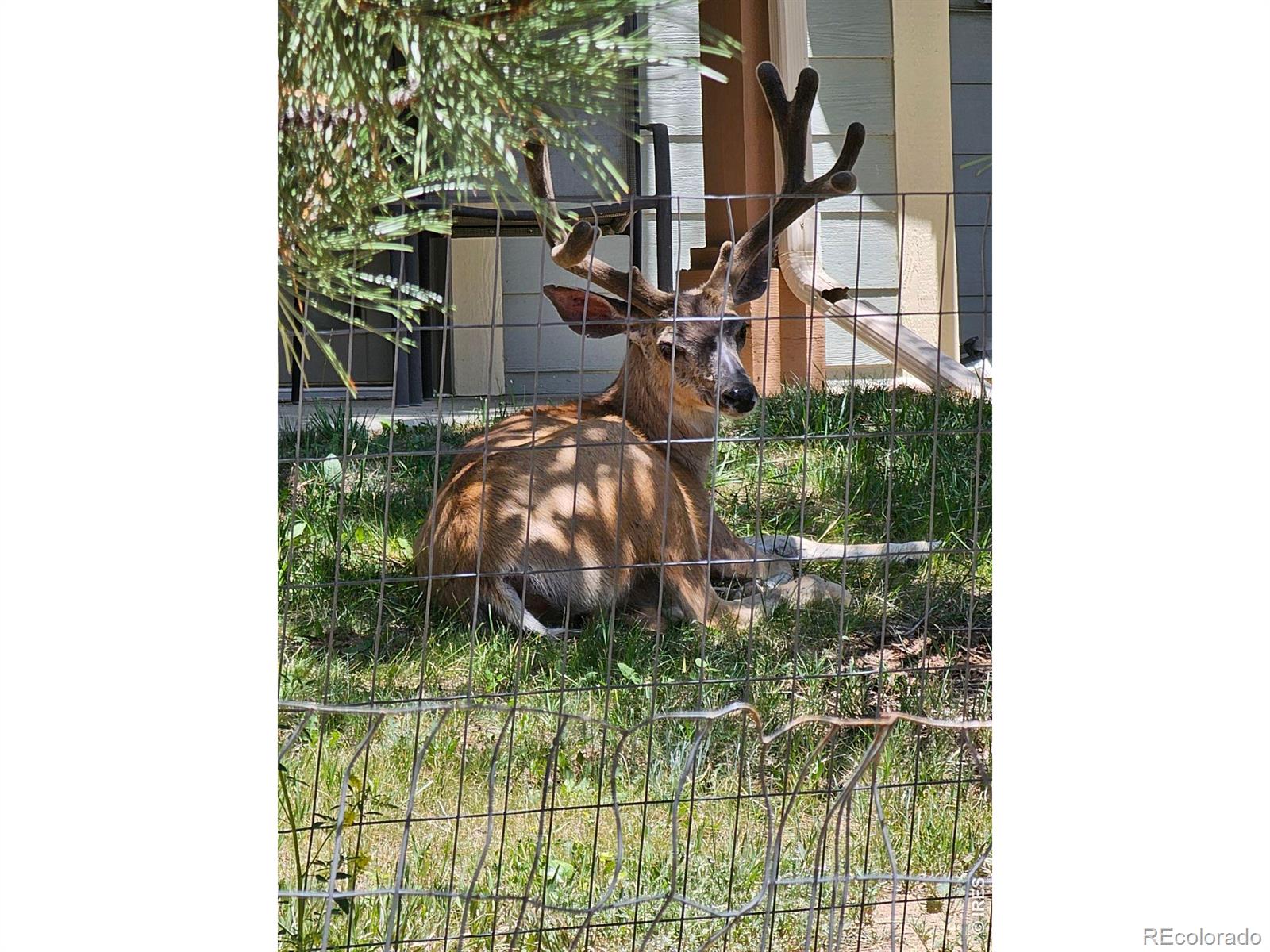 MLS Image #39 for 1761  wildfire road,estes park, Colorado