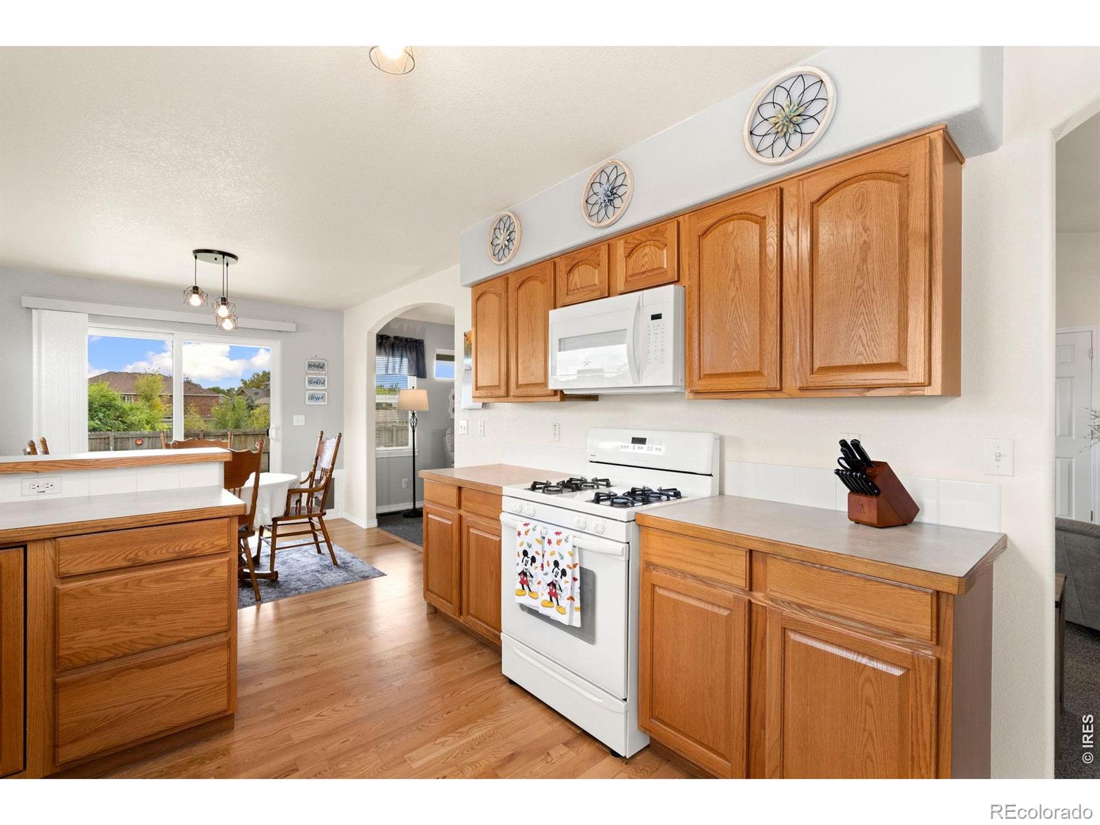MLS Image #16 for 1288  cherrywood drive,brighton, Colorado