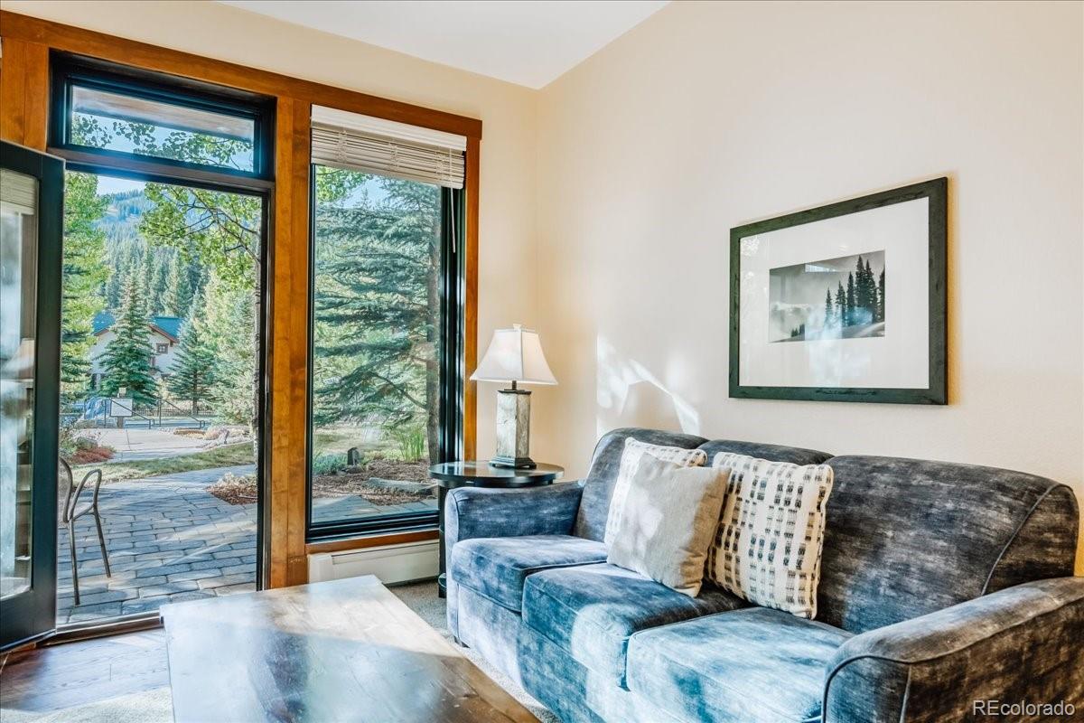 MLS Image #1 for 172  beeler place,frisco, Colorado
