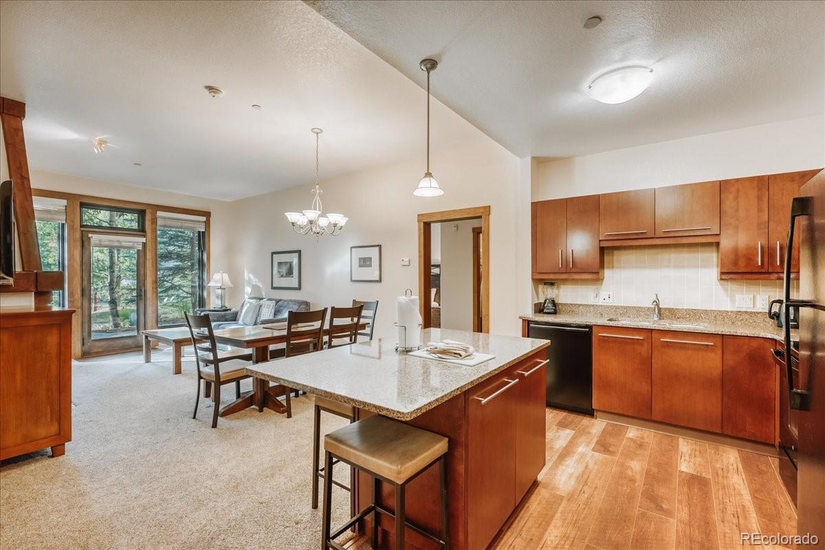 MLS Image #12 for 172  beeler place,frisco, Colorado
