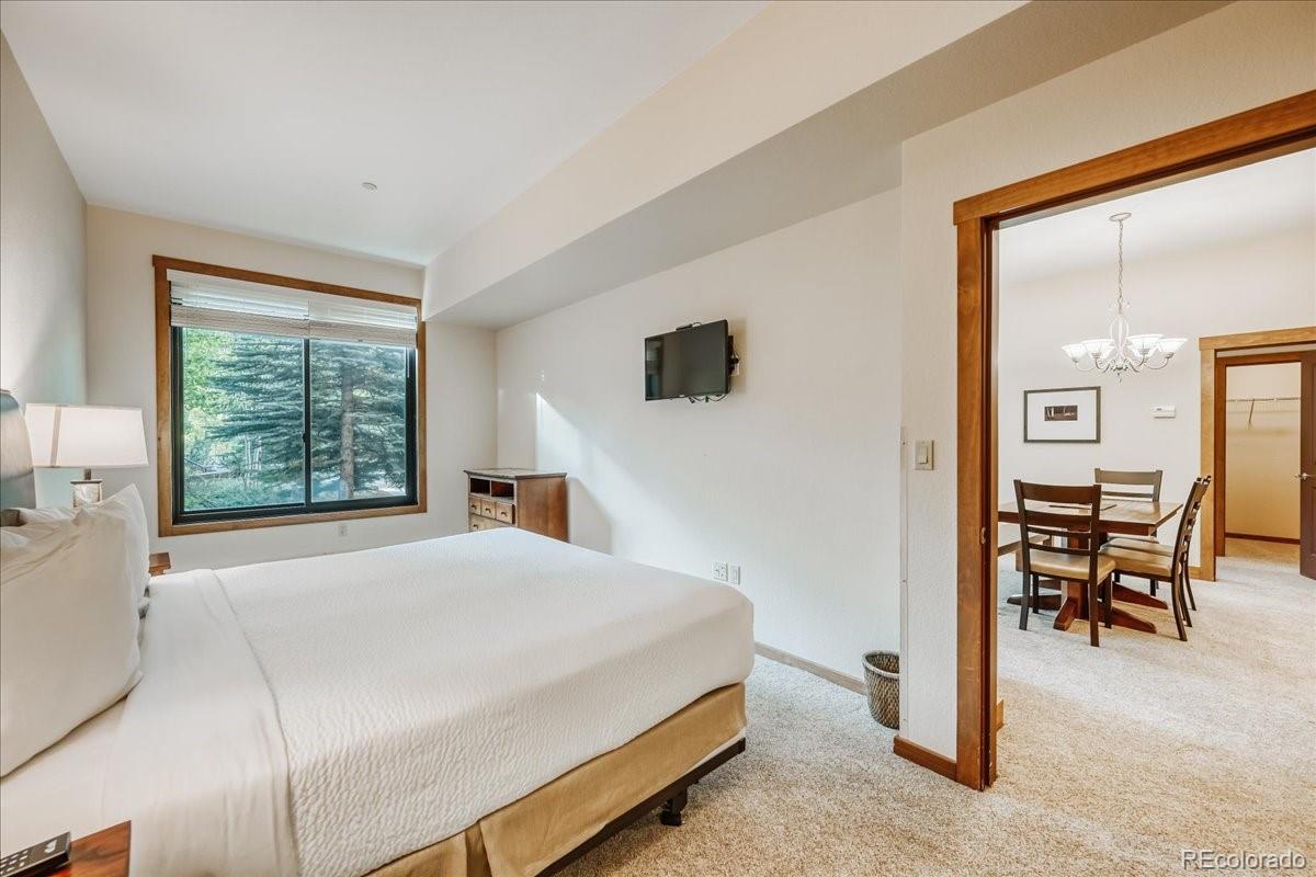 MLS Image #15 for 172  beeler place,frisco, Colorado