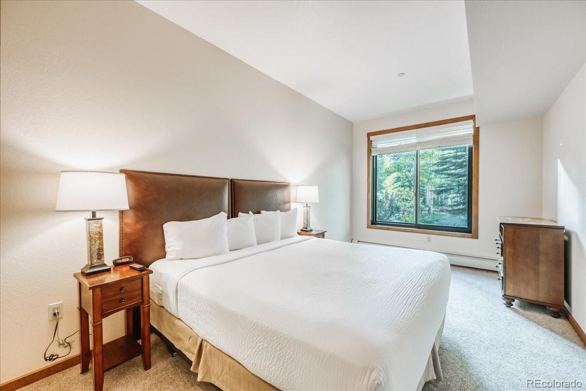 MLS Image #16 for 172  beeler place,frisco, Colorado