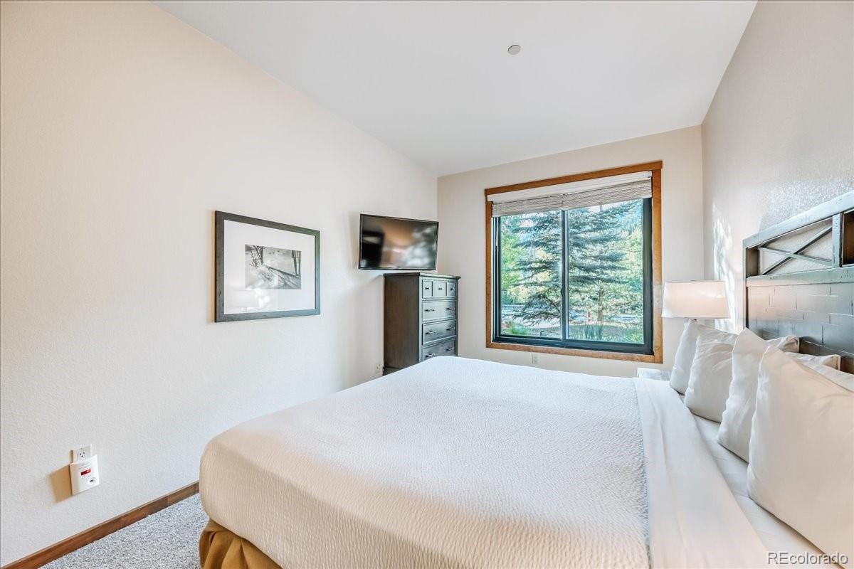 MLS Image #19 for 172  beeler place,frisco, Colorado