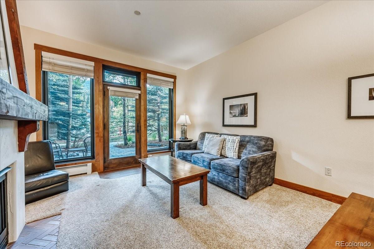 MLS Image #2 for 172  beeler place,frisco, Colorado