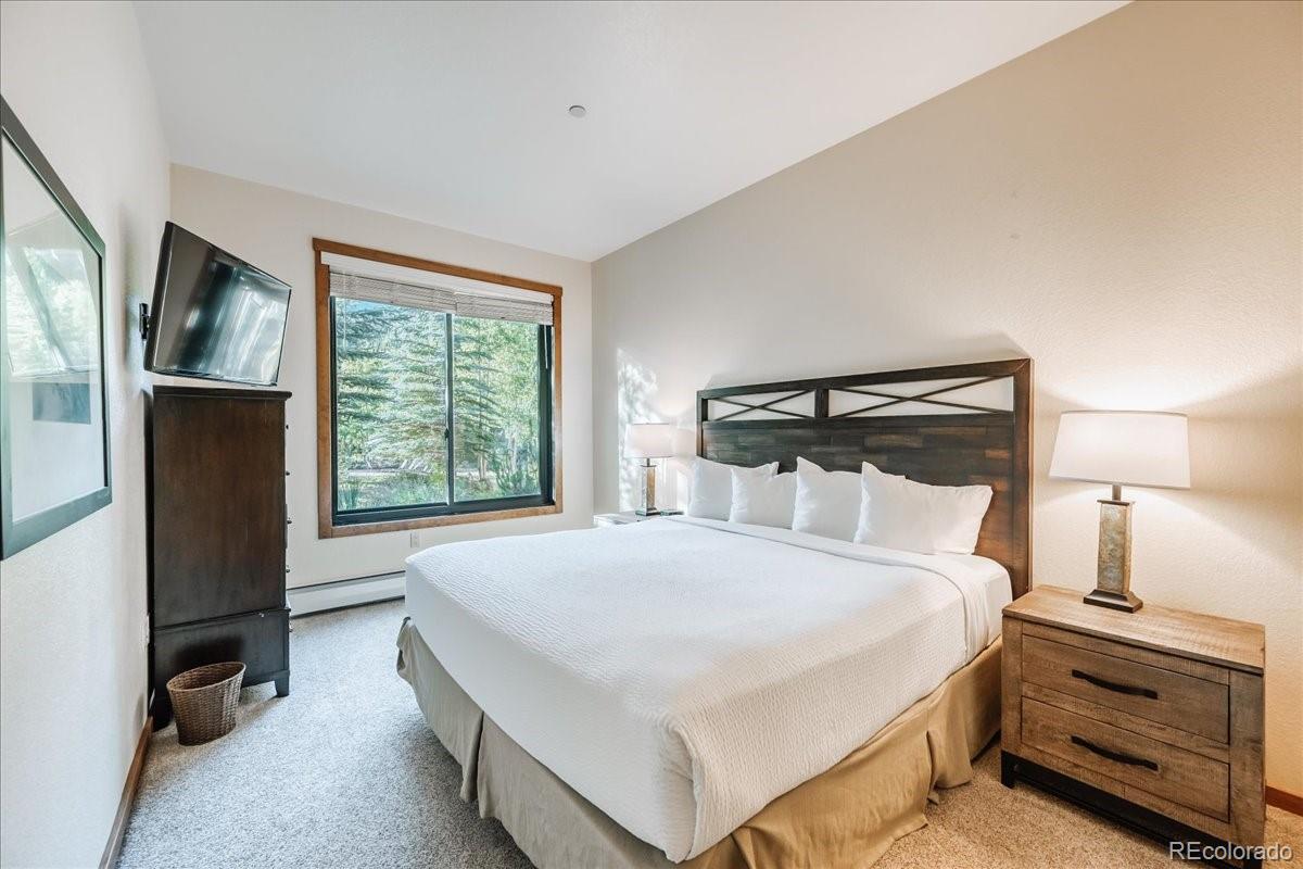 MLS Image #20 for 172  beeler place,frisco, Colorado