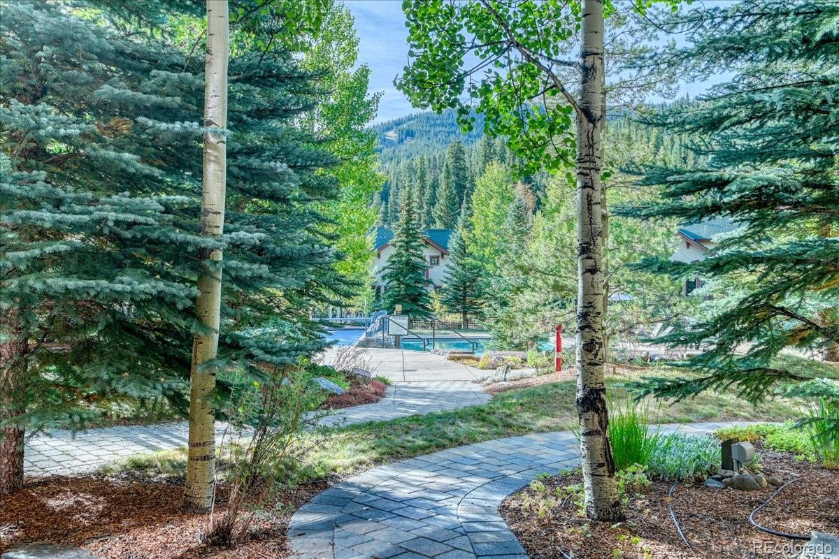 MLS Image #25 for 172  beeler place,frisco, Colorado