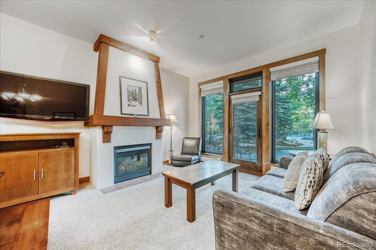 MLS Image #3 for 172  beeler place,frisco, Colorado