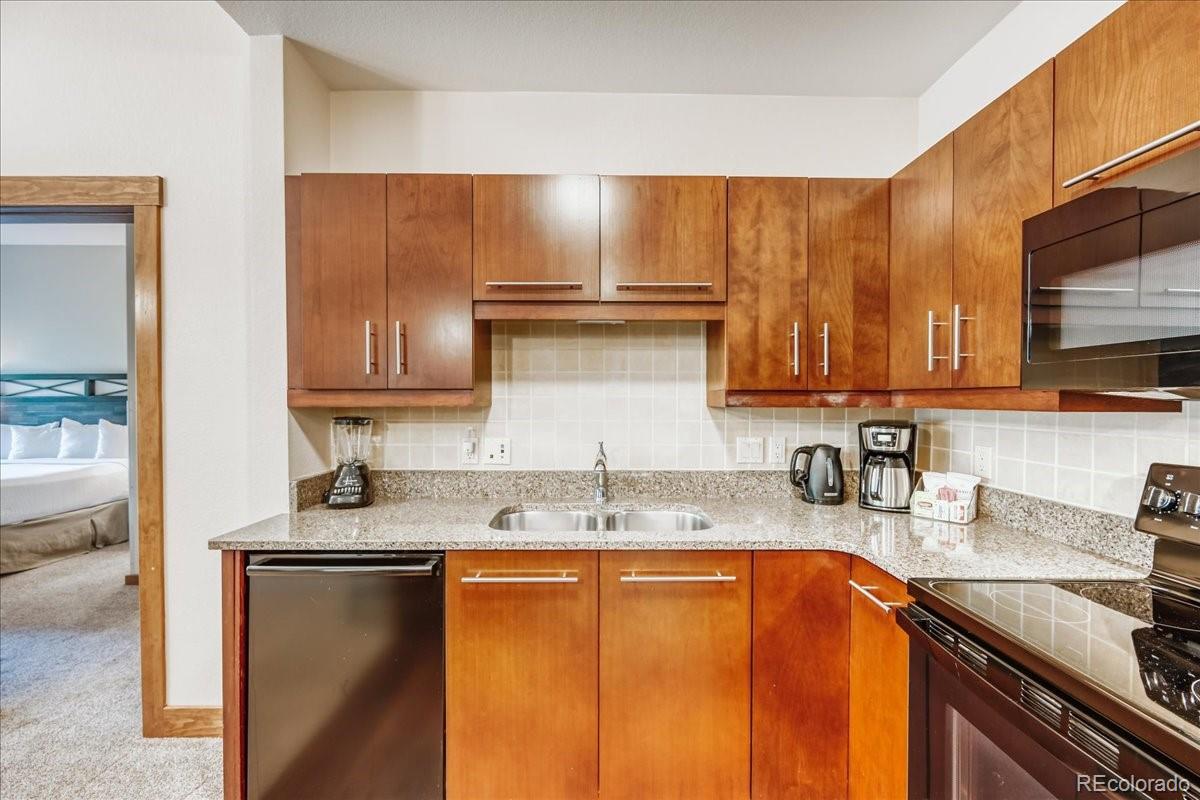 MLS Image #8 for 172  beeler place,frisco, Colorado