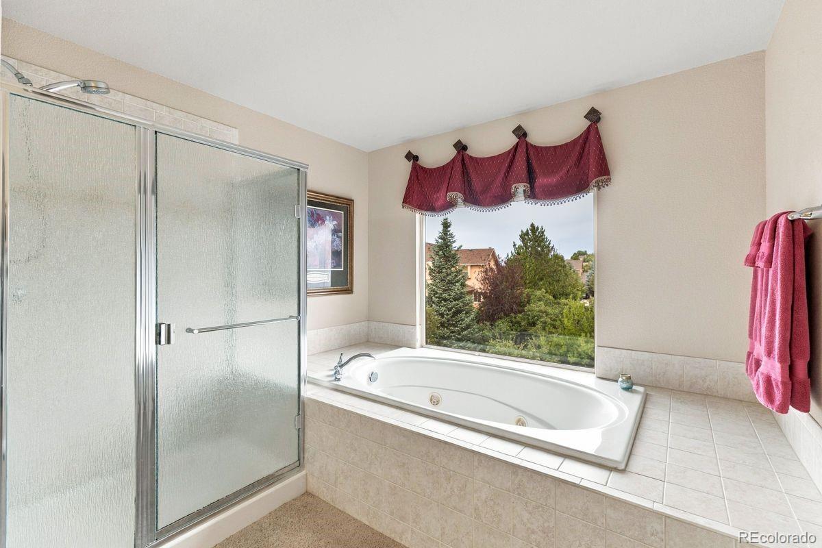 MLS Image #19 for 2058  paradise ridge court,colorado springs, Colorado