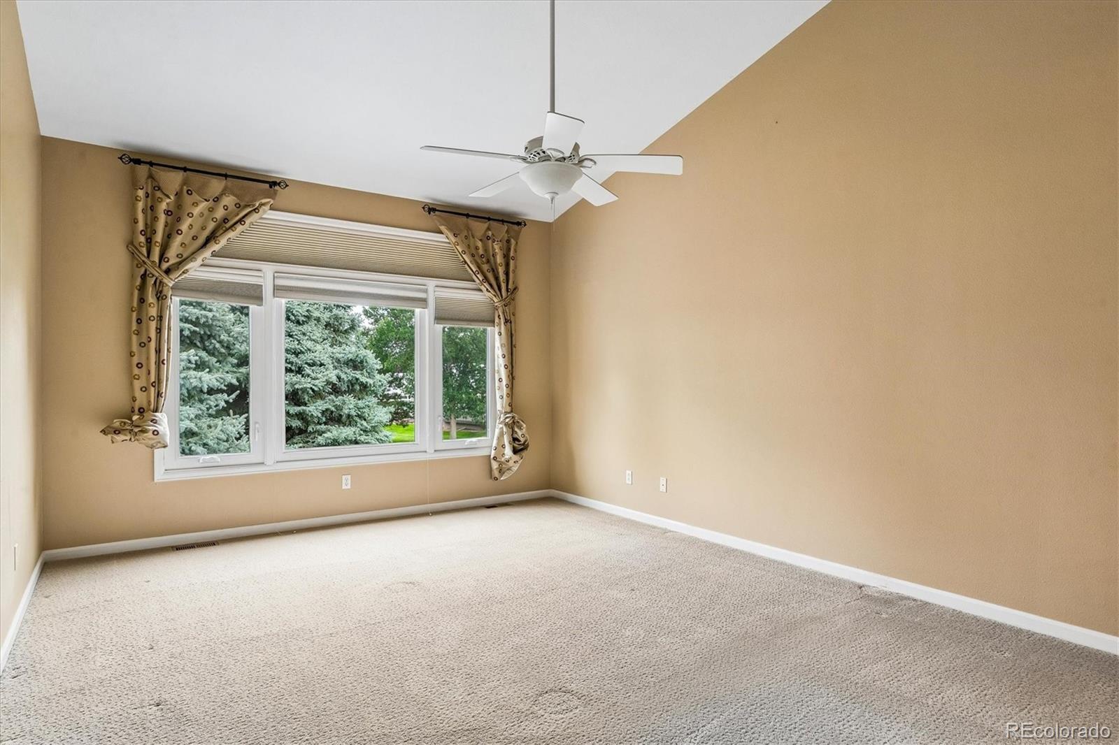 MLS Image #12 for 20  tamerlain court,highlands ranch, Colorado