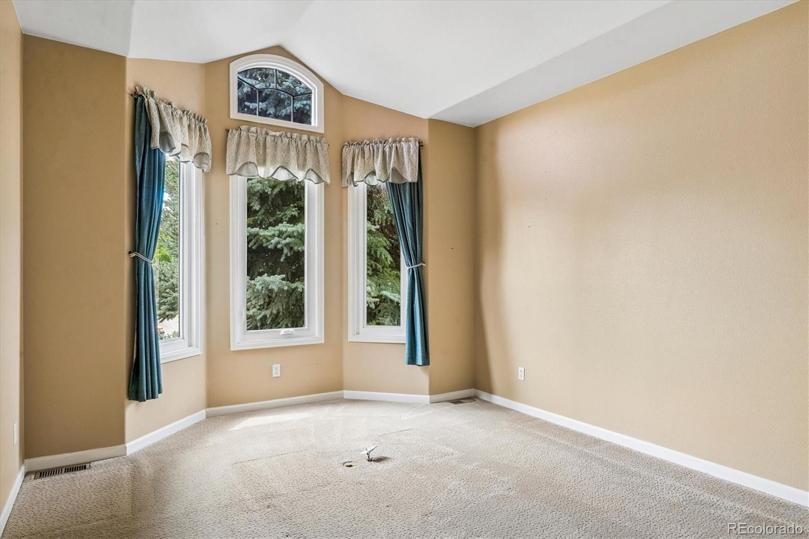 MLS Image #18 for 20  tamerlain court,highlands ranch, Colorado