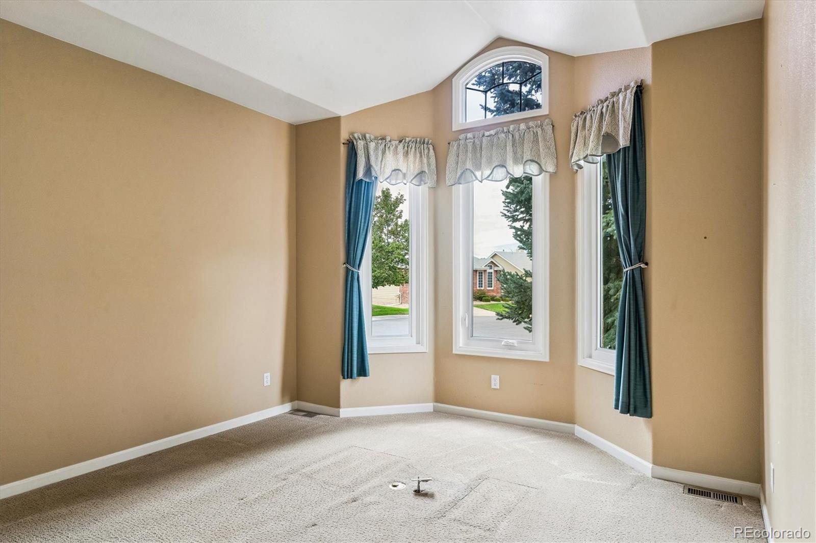 MLS Image #19 for 20  tamerlain court,highlands ranch, Colorado