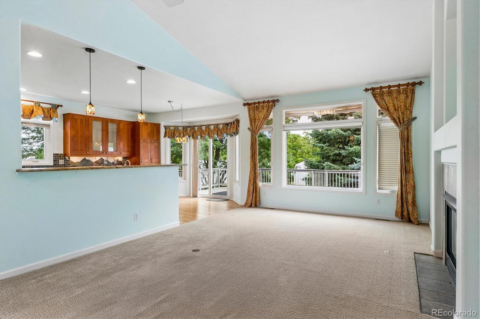 MLS Image #4 for 20  tamerlain court,highlands ranch, Colorado