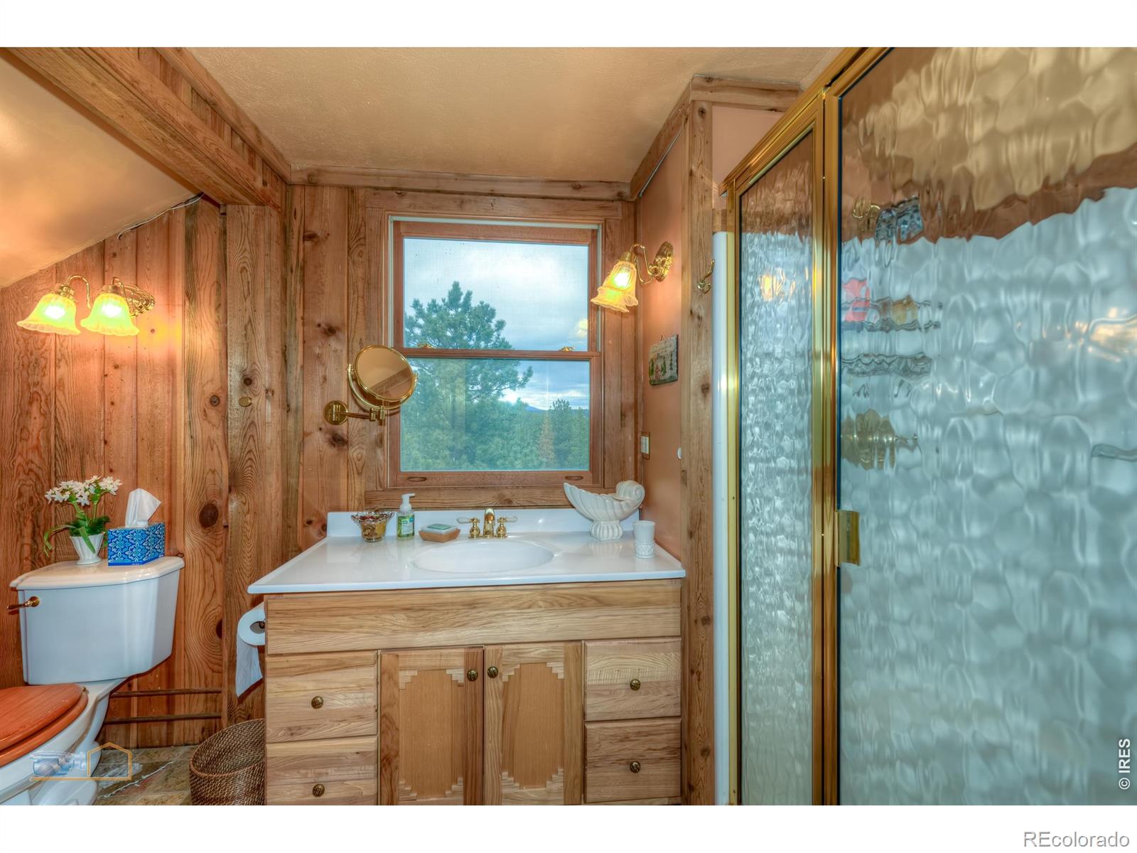 MLS Image #23 for 1386  gold lake road,ward, Colorado