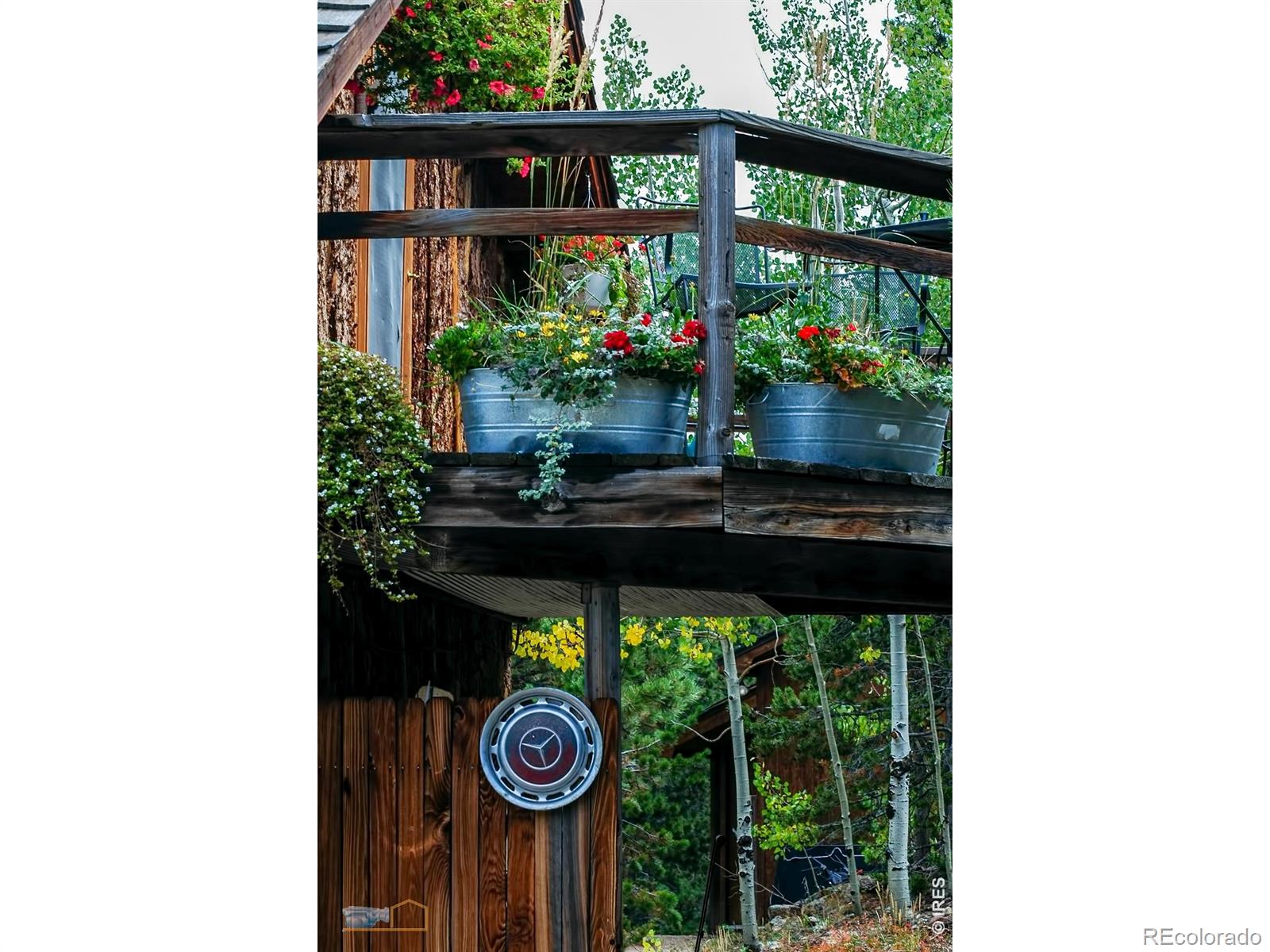 MLS Image #5 for 1386  gold lake road,ward, Colorado