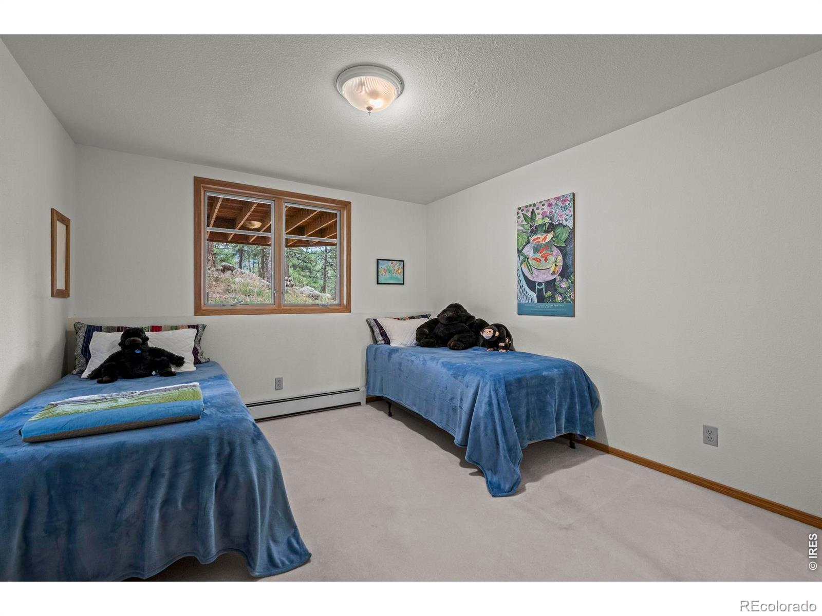 MLS Image #26 for 38411  boulder canyon drive,boulder, Colorado