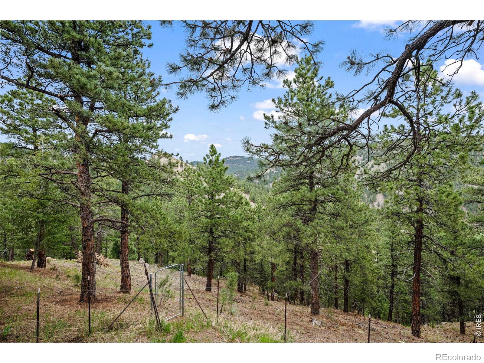 MLS Image #39 for 38411  boulder canyon drive,boulder, Colorado