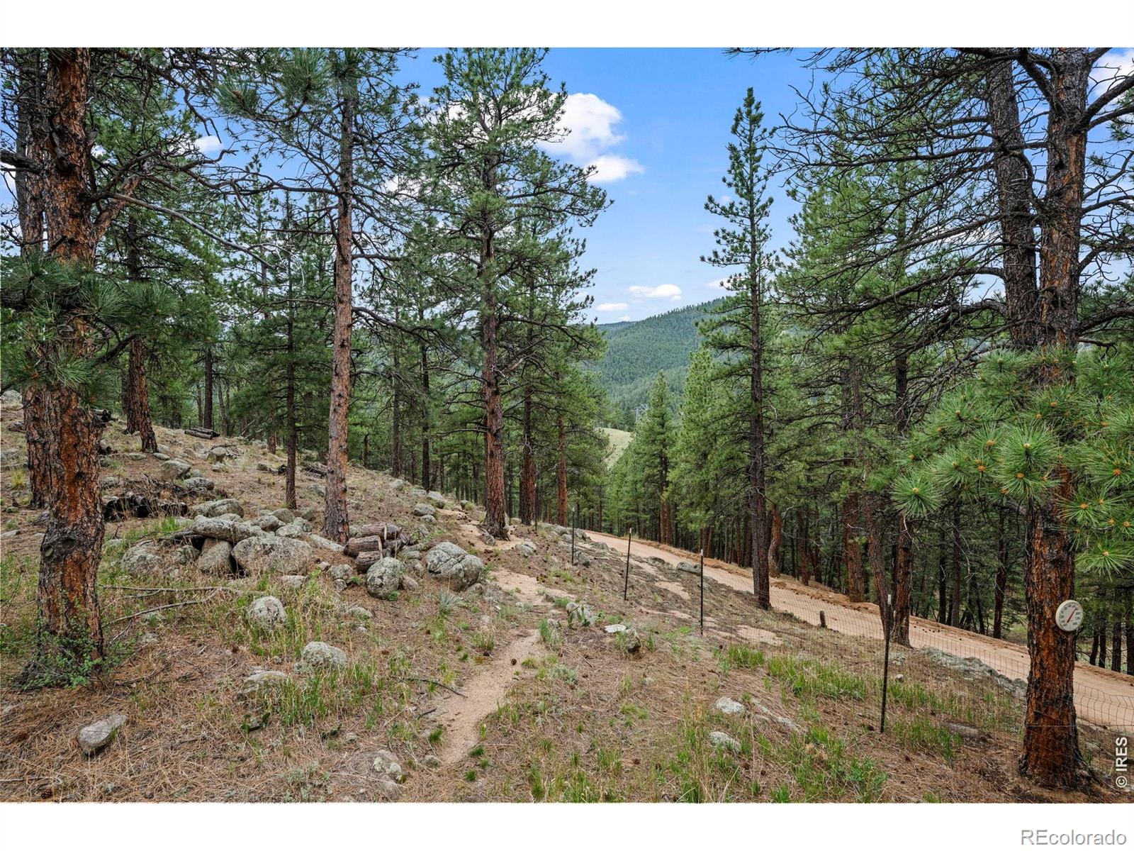 MLS Image #40 for 38411  boulder canyon drive,boulder, Colorado