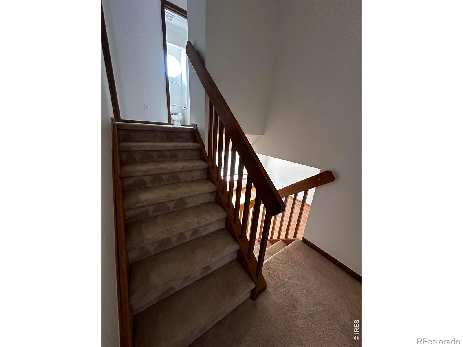 MLS Image #33 for 2207  emery street,longmont, Colorado