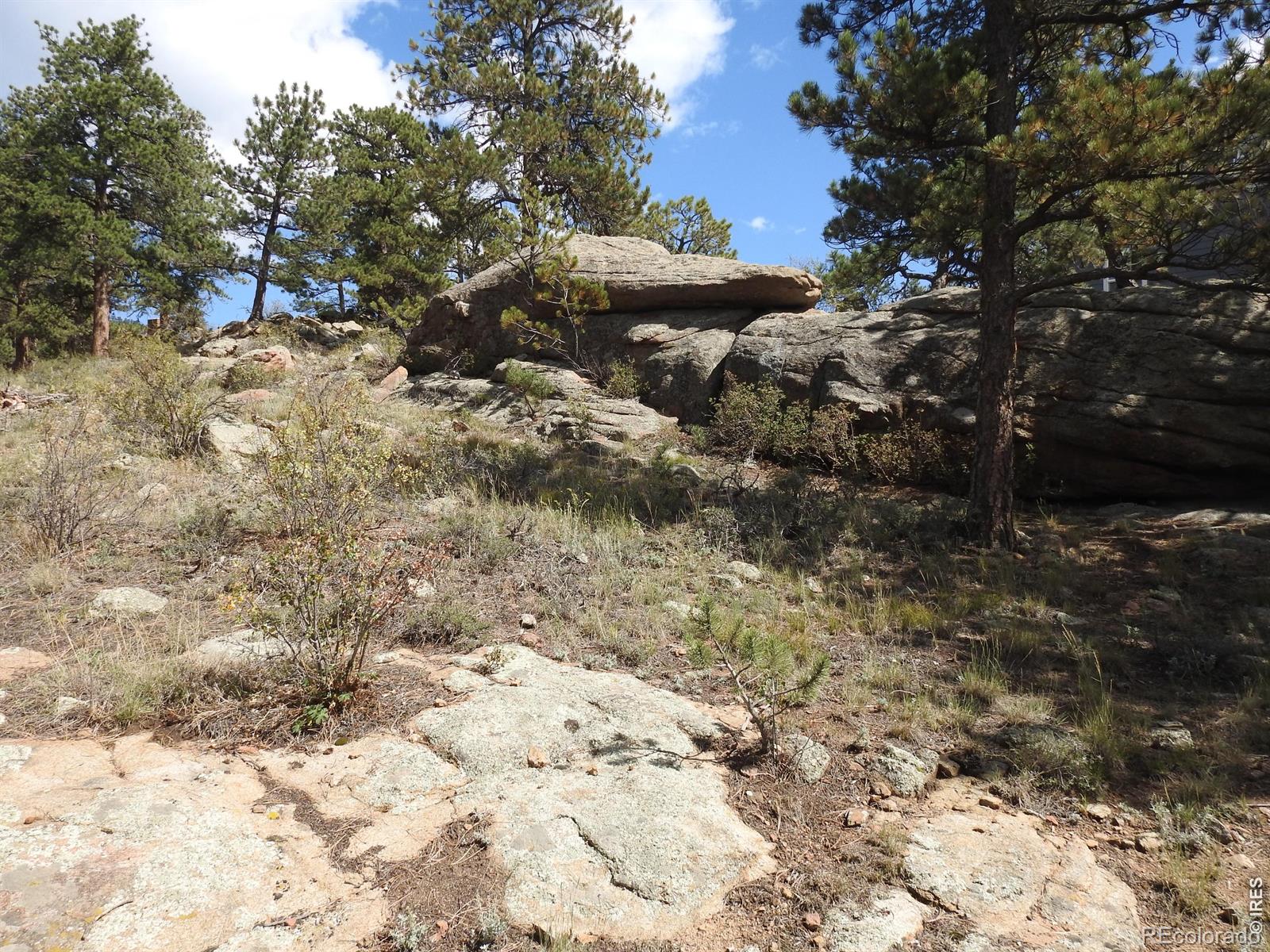 MLS Image #26 for 240  olympus lane,estes park, Colorado