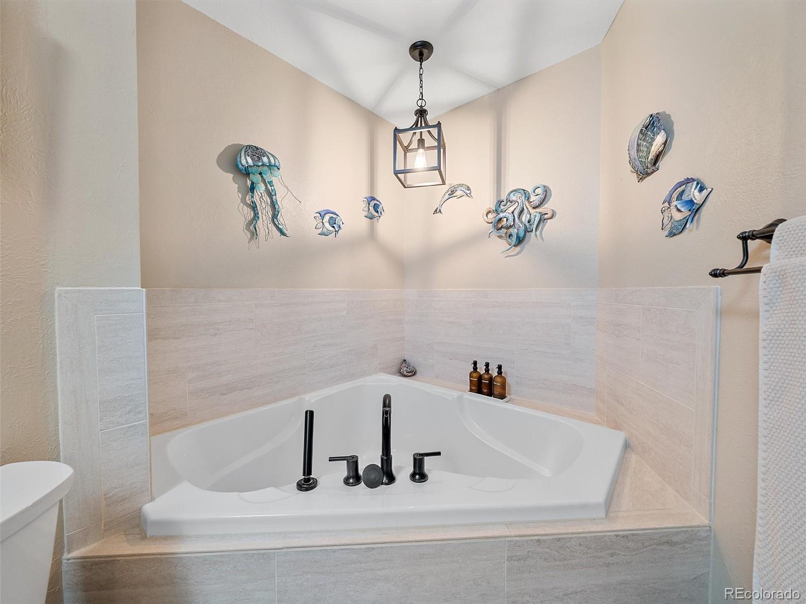MLS Image #23 for 6136  stormy mountain court,parker, Colorado