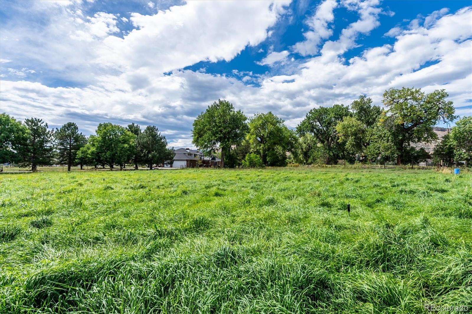 MLS Image #4 for 5221  mcintyre street,golden, Colorado