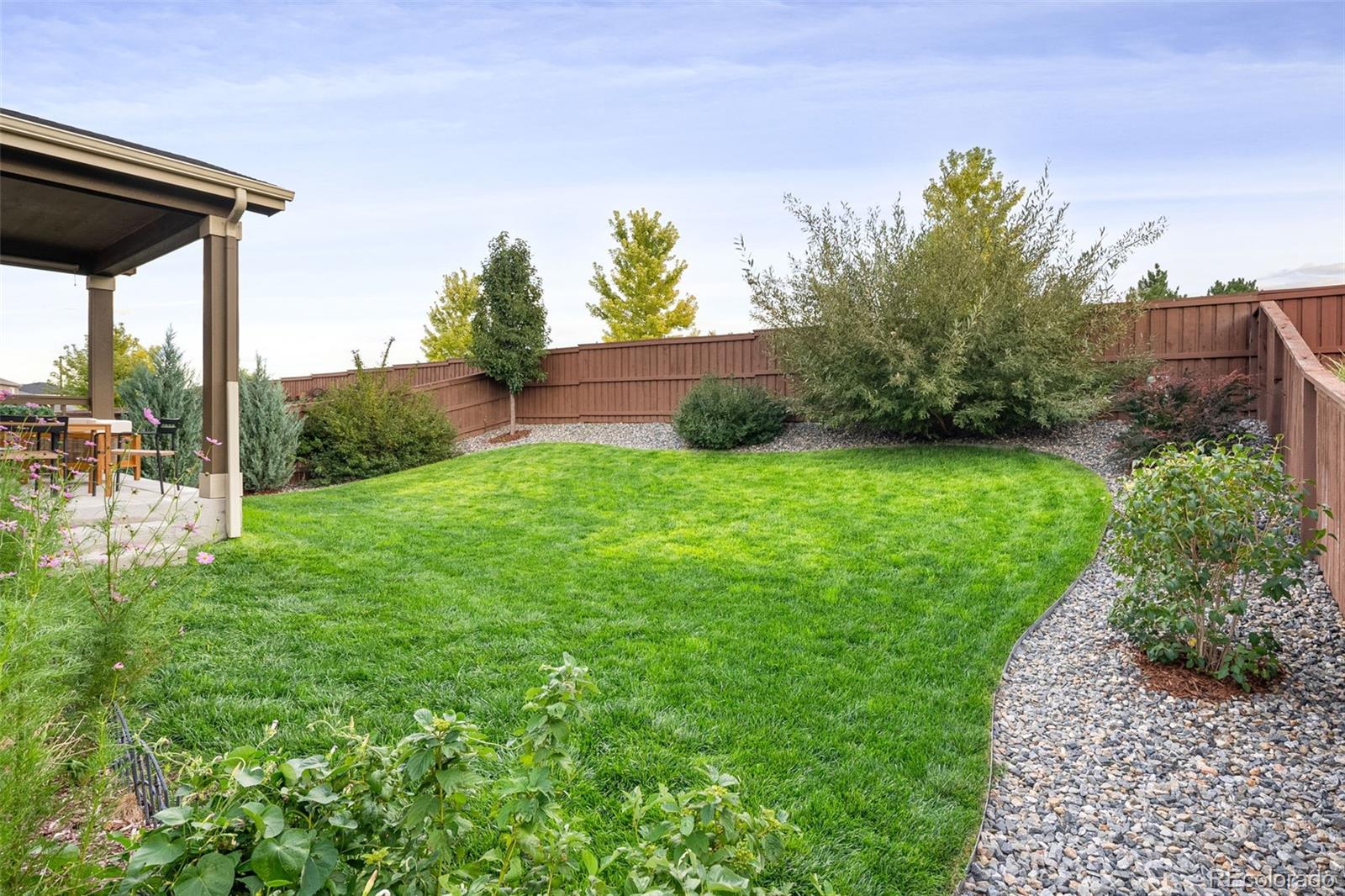 MLS Image #10 for 16036  alberta drive,parker, Colorado